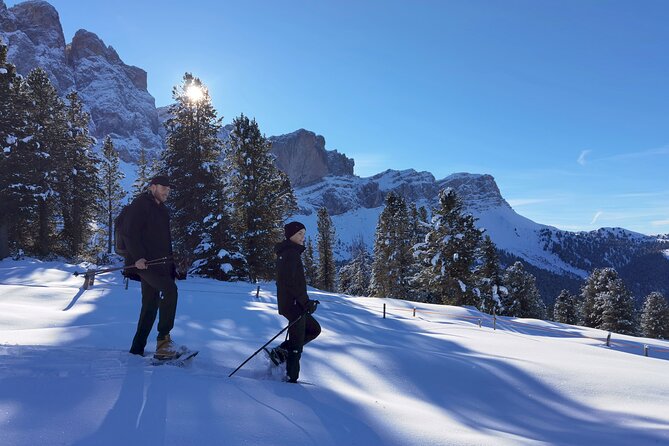 Bolzano Dolomites: Winter Hiking & Sledding Experience