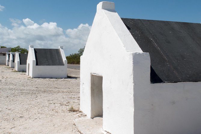 Bonaire Essentials Island Tour