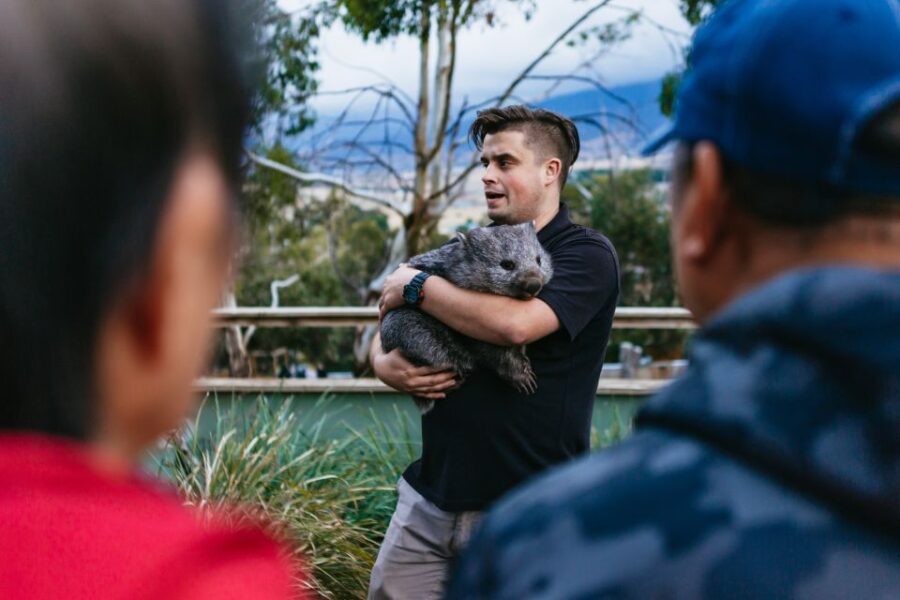Bonorong Wildlife Sanctuary Half-Day Tour From Hobart - Tour Overview and Pricing