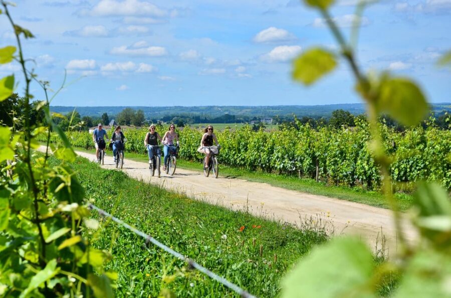 Bordeaux Backcountry E-Bike Tour With Lunch & Wine Tasting