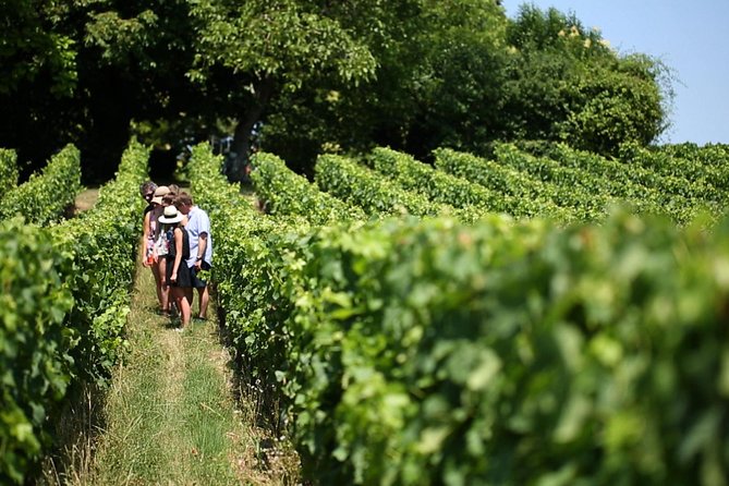 Bordeaux Super Saver Médoc Wine Tour With Lunch Plus St Emilion and Appetizer