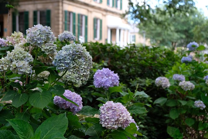 Botanical Tour (by Walk With Me Savannah Tours)