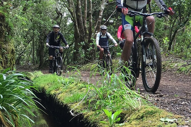 Botanical Trails of Madeira. Mountain Biking Trail Experience - Exploring Madeiras Mountains