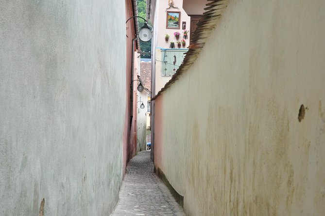 Brasov Old Town Small-Group Walking Tour - Tour Experience and Guides