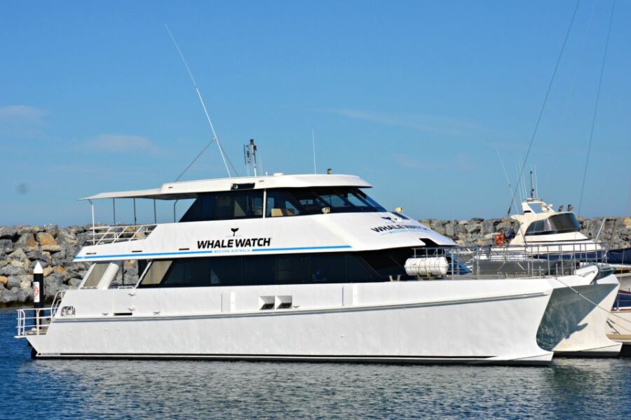Bremer Canyon Orca Experience From Bremer Bay - Experience Overview
