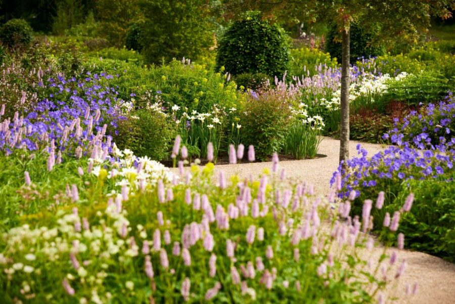 Bridgewater: Royal Horticultural Society Garden Ticket - Entry Fees and Booking