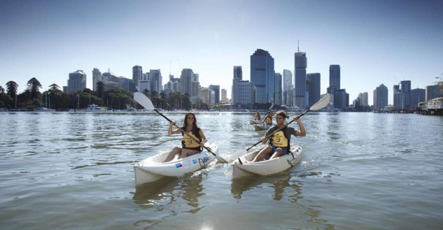Brisbane: 2-Hour Kayak Hire on Brisbane River - Activity Overview