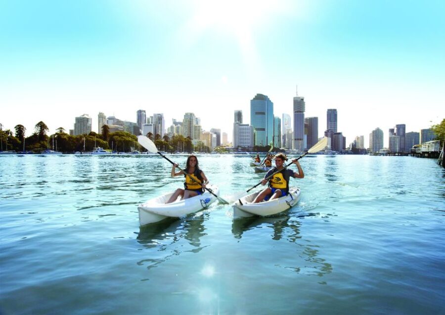 Brisbane: Guided River Kayak Tour