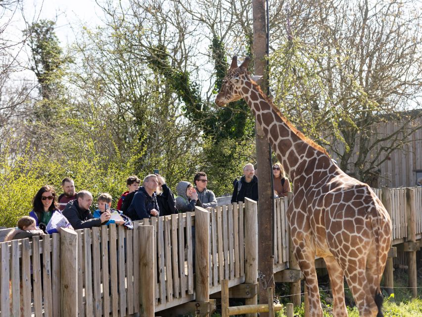 Bristol: Bristol Zoo Project Entry Ticket