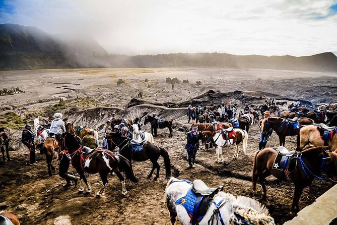 Bromo Midnight
