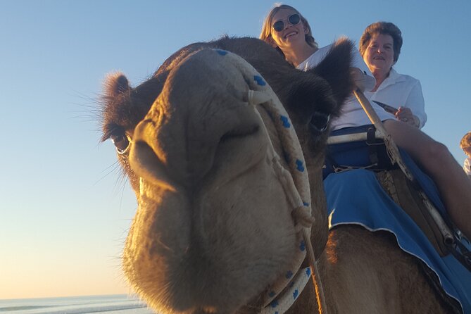 Broome Pre-Sunset Camel Tour 30 Minutes