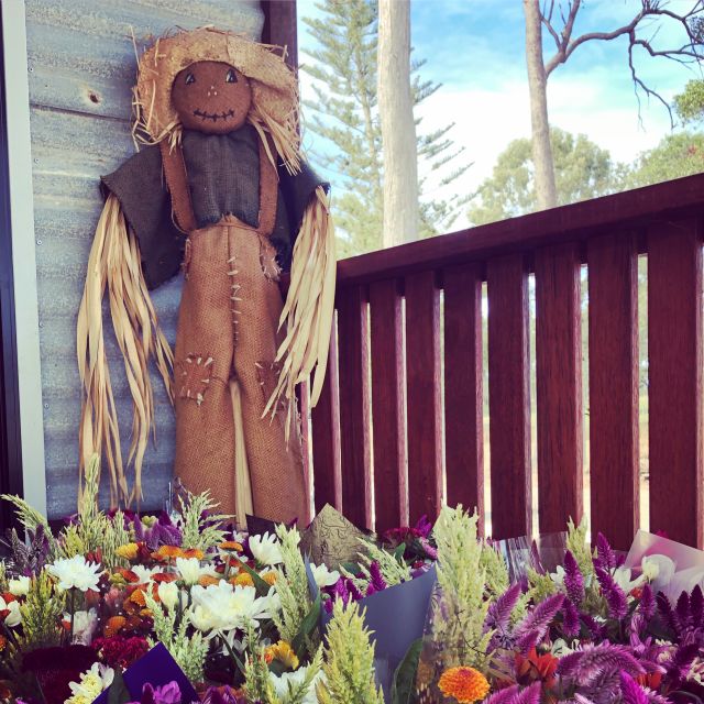 Bundaberg: Family-Friendly Entry Ticket to Splitters Farm - Ticket Information