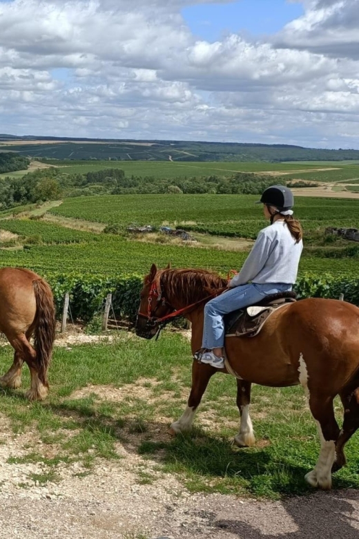 Burgundy: Horse Riding Tour in Chablis