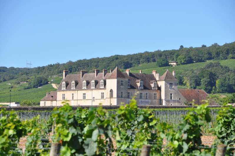 Burgundy Luxury Half–Day Côte De Nuits Vineyards Tour