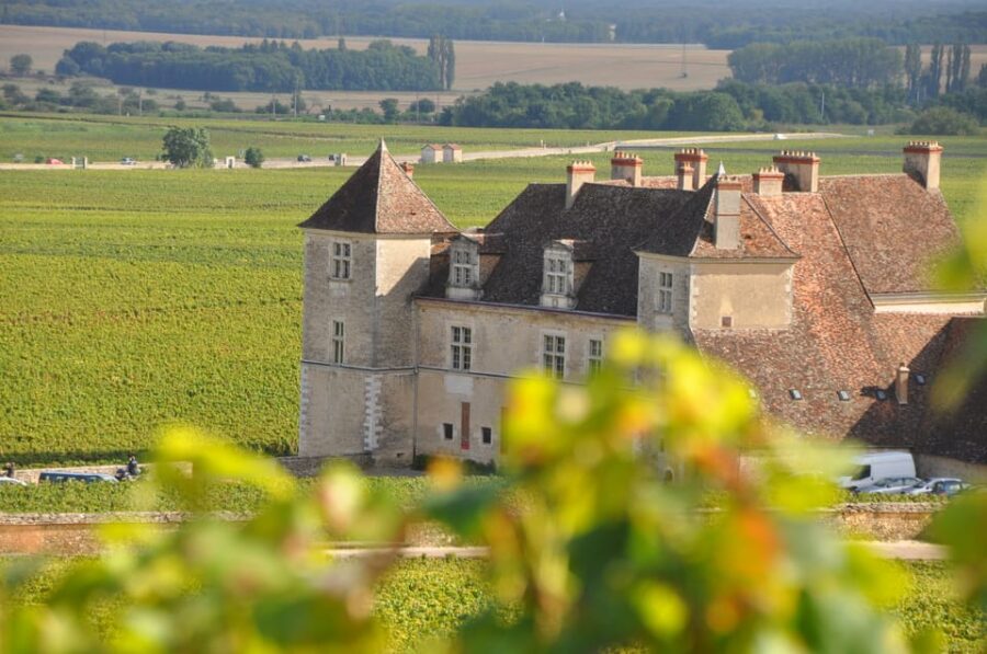 Burgundy Wines Full-Day Tasting Tour From Dijon