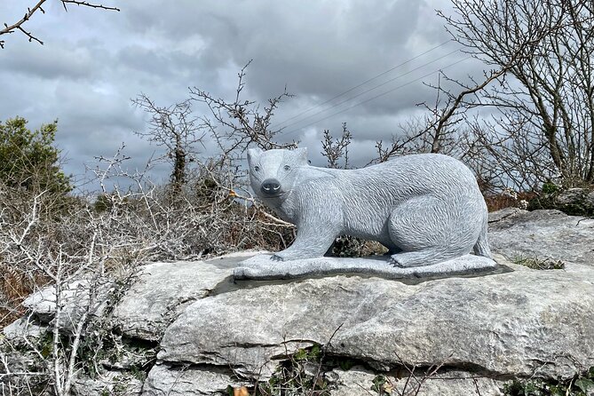 Burren Nature Sanctuary
