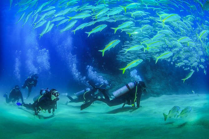 Cabo San Lucas Beginner Scuba Diving Experience - PADI-accredited Dive Center