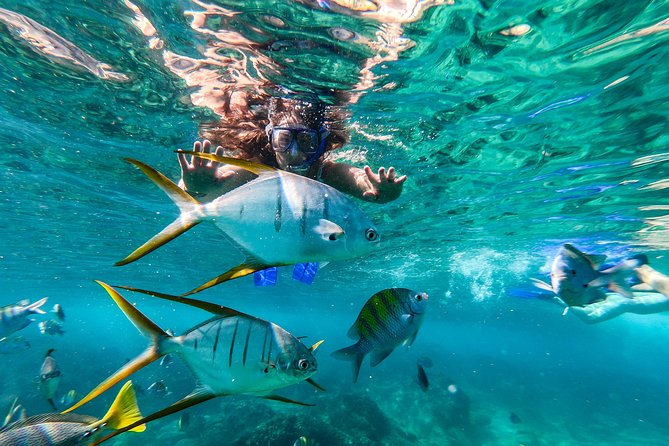 Cabo San Lucas Shopping, Tequila Tasting, and Snorkel Tour - Snorkeling and Catamaran Cruise