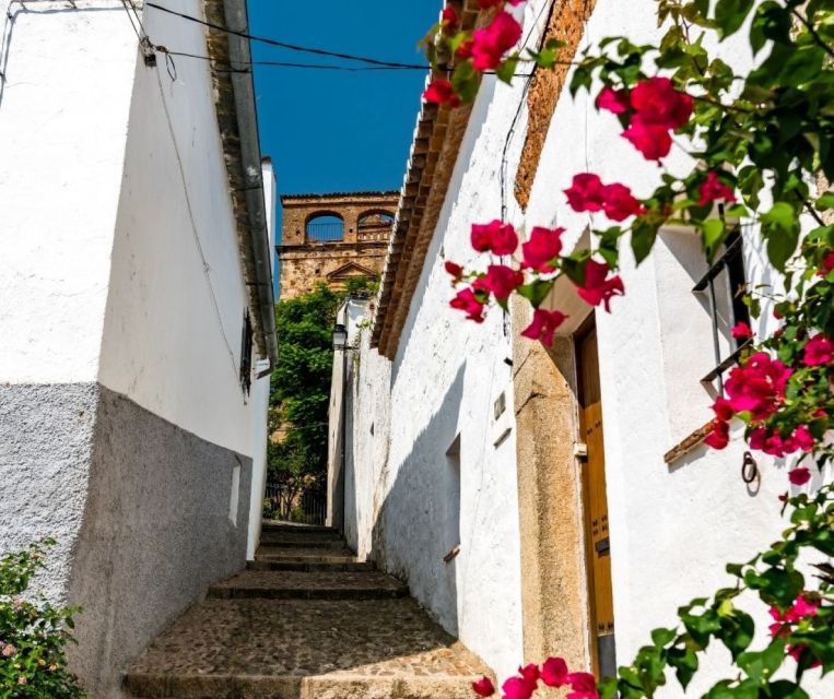 5 Best Walking Tours In Caceres
