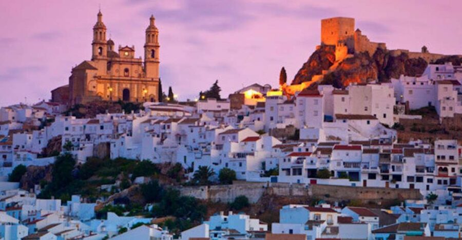 Cadiz, Jerez or El Puerto: White Towns of Andalusia Day Trip - Tour Overview