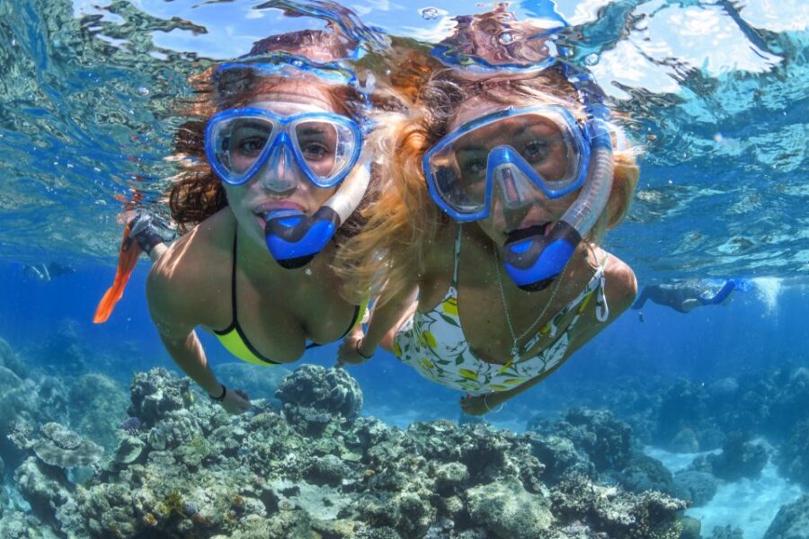 Cairns: 2-Day Great Barrier Reef & Daintree Rainforest Tour