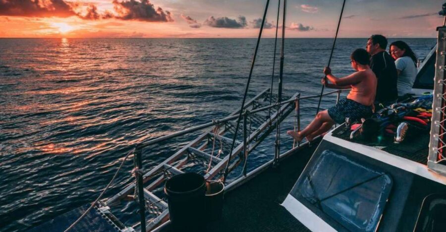 Cairns: 2-Day Great Barrier Reef Dive and Snorkel Boat Trip