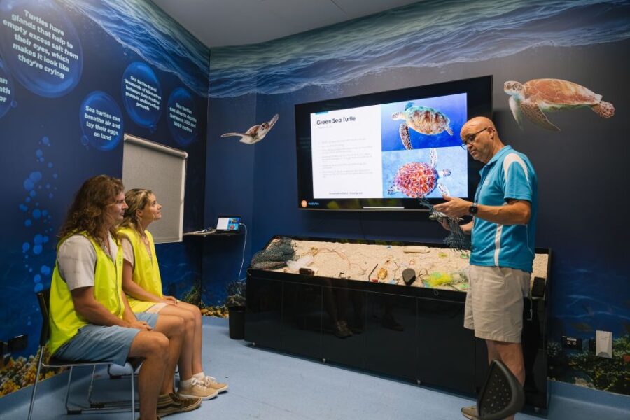 Cairns: Aquarium Entry Ticket and Turtle Rehabilitation Tour