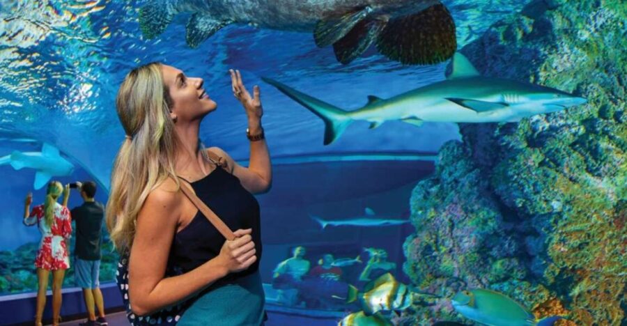 Cairns Aquarium General Admission Ticket - Ticket Details and Pricing
