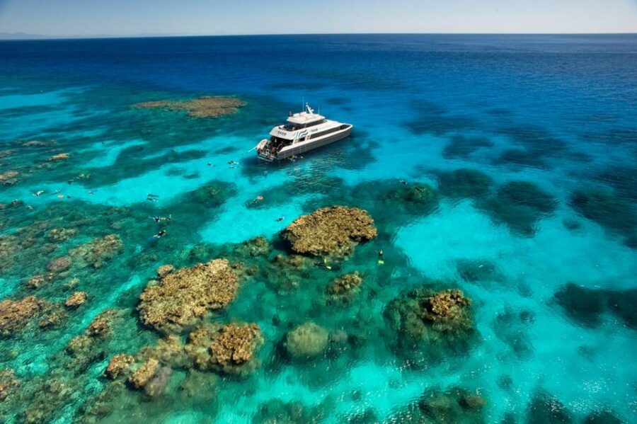 Cairns: Great Barrier Reef Scuba Diving Tour