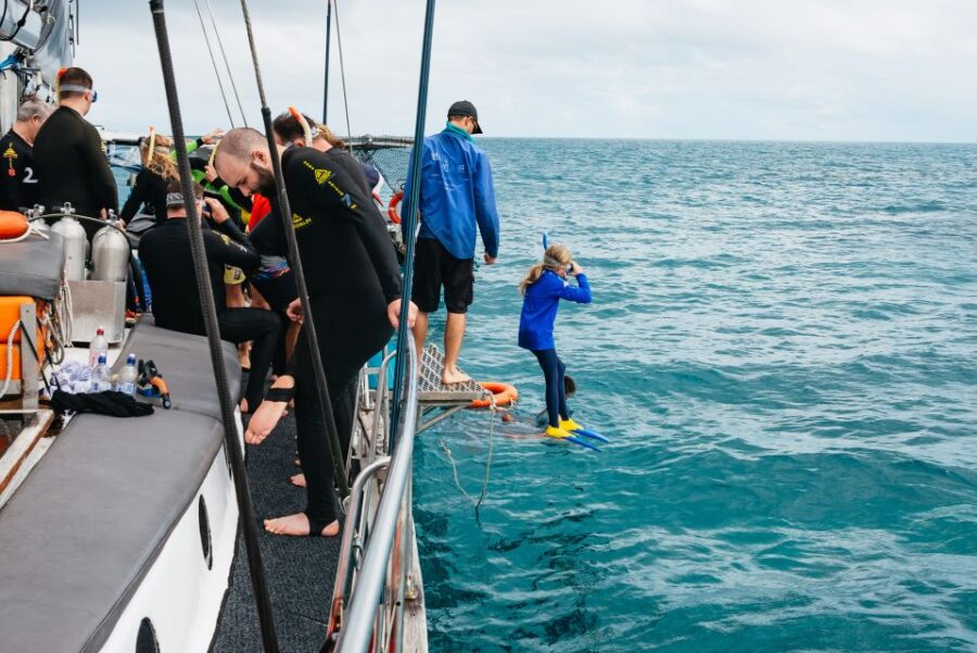 Cairns: Green Island & Great Barrier Reef Sailing Tour
