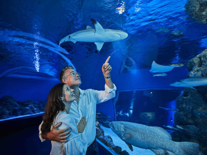 Cairns: Guided Twilight Tour of the Aquarium