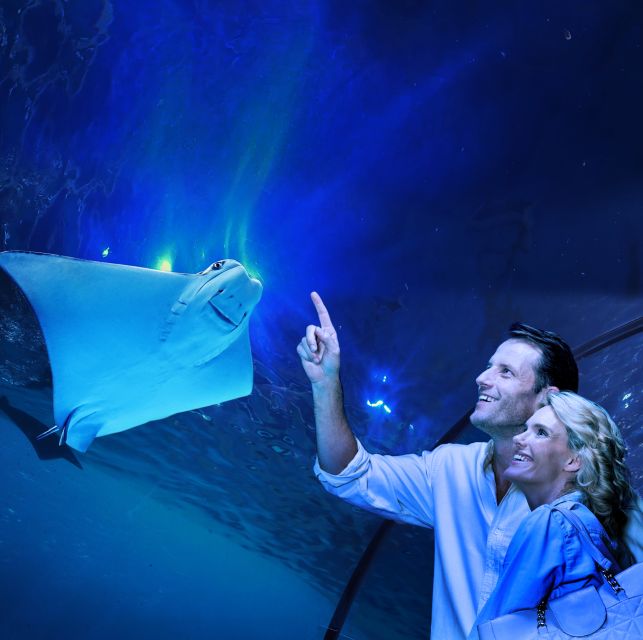 Cairns: Guided Twilight Tour With 3-Course Dinner