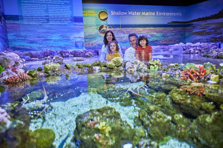 Cairns: Pre-Opening Guided Tour of the Cairns Aquarium