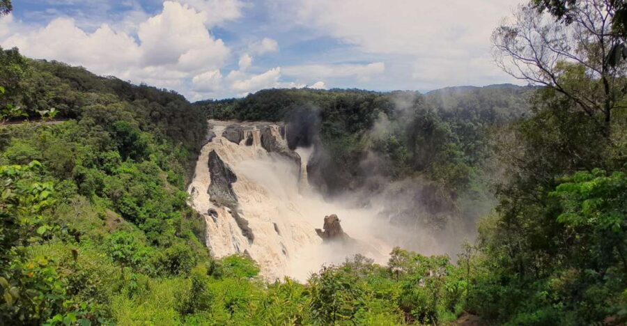 Cairns: Waterfall, Wetlands and Skyrail