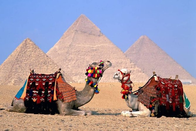 Cairo Layover Tours to Giza Pyramids and Sphinx From Cairo Airport - Included in the Tour