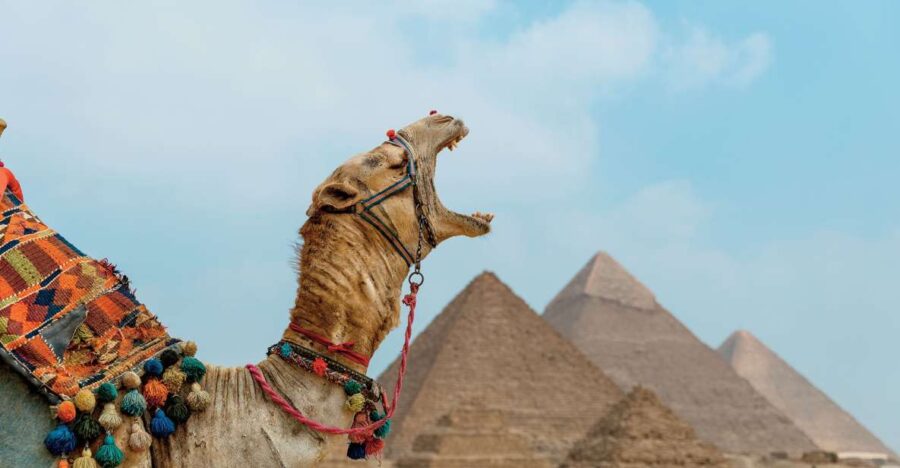 Cairo: Pyramids, Museum & Citadel Adventure