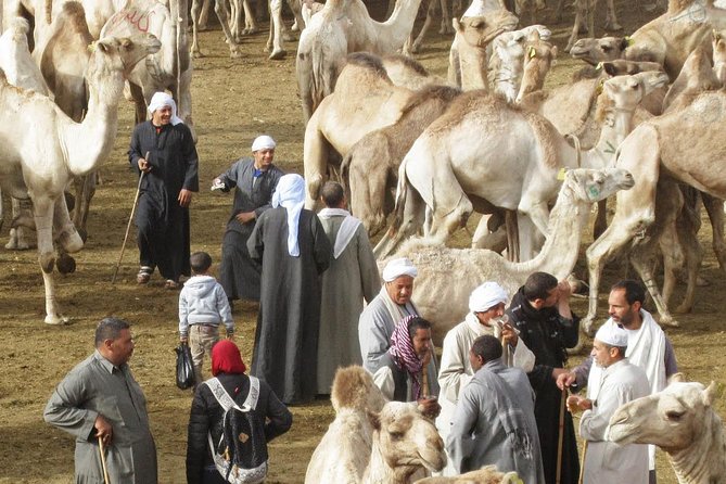 Cairo Unusual Day Tour Visit Camel Market in Birqash - Tour Overview