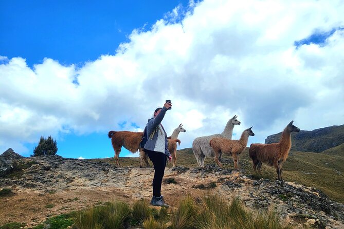19 Best National Park Tours In Cuenca