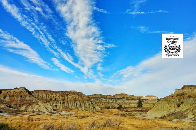 Calgary to Royal Tyrrell Museum | Drumheller – PRIVATE TOUR - Overview of the Tour