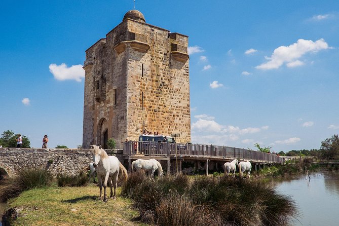 3 Best Safari Tours in Le Grau Du Roi