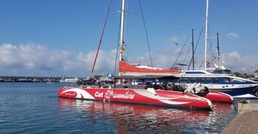 Cambrils/Salou: Coastline Catamaran 2h With Drinks, Pickup