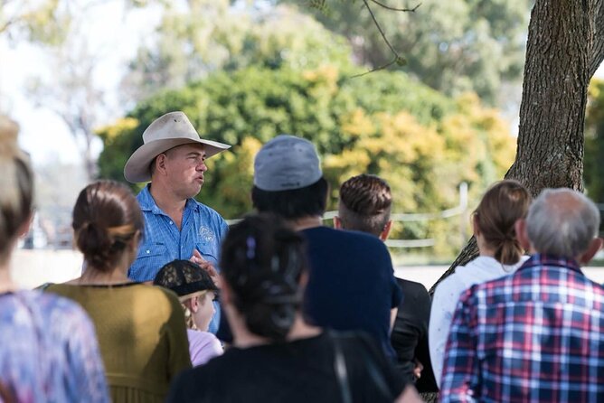 Camel Farm Tour and Taste