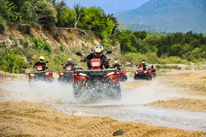 Camel Ride and Extreme ATV Combo Tour in Cabo San Lucas - Overview of the Tour