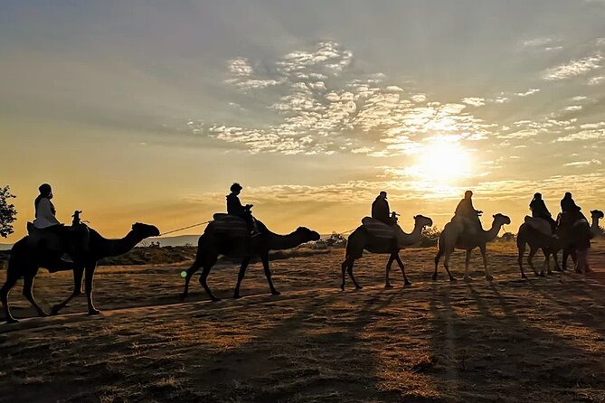 Camel Safari in Cappadocia - Overview of the Experience