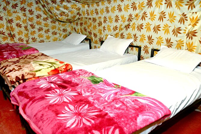 Camping in Rishikesh – 1N 2D