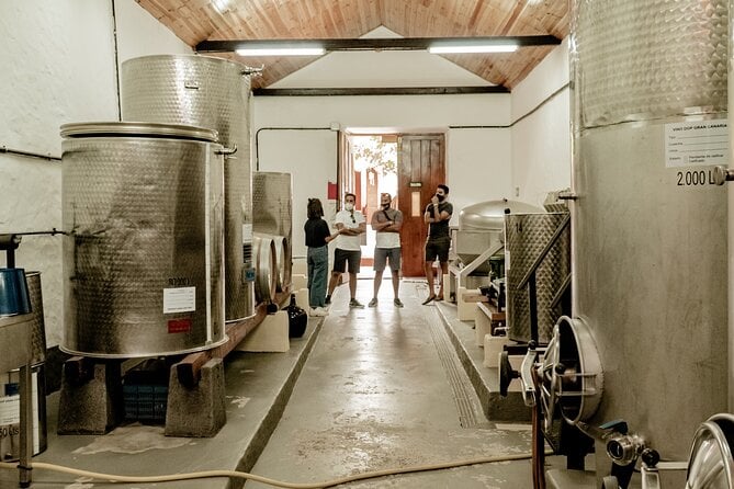 Canarian Wine Experience at Bodega Los Lirios - Private Tour of Winery