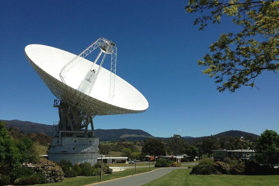 Canberra: Best of Wildlife Tour - Tour Overview