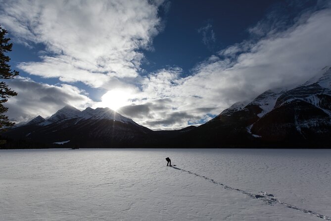 Canmore: Wilderness & Wildlife Hiking Tour – 3hrs