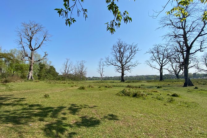 4 Best National Park Tours In Sauraha
