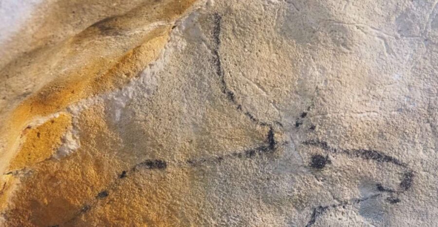 Cantabria: The Castillo Caves & Paleolithic Art